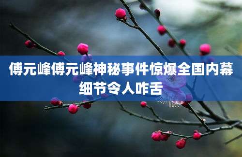 傅元峰傅元峰神秘事件惊爆全国内幕细节令人咋舌