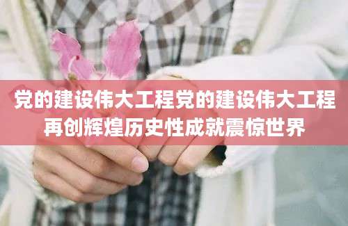 党的建设伟大工程党的建设伟大工程再创辉煌历史性成就震惊世界