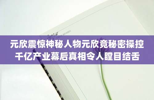 元欣震惊神秘人物元欣竟秘密操控千亿产业幕后真相令人瞠目结舌