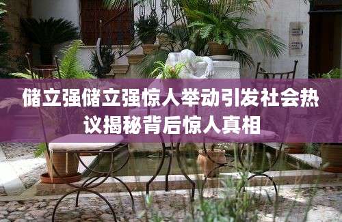 储立强储立强惊人举动引发社会热议揭秘背后惊人真相