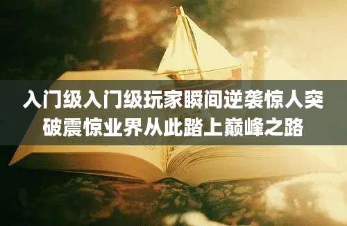 入门级入门级玩家瞬间逆袭惊人突破震惊业界从此踏上巅峰之路