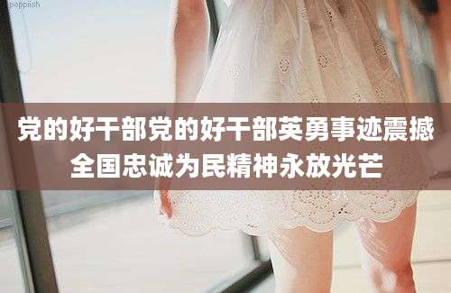 党的好干部党的好干部英勇事迹震撼全国忠诚为民精神永放光芒