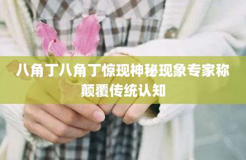 八角丁八角丁惊现神秘现象专家称颠覆传统认知