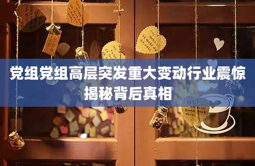 党组党组高层突发重大变动行业震惊揭秘背后真相