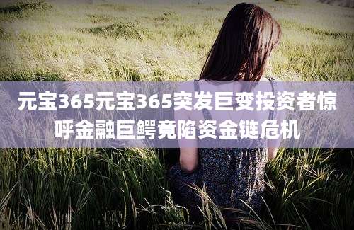 元宝365元宝365突发巨变投资者惊呼金融巨鳄竟陷资金链危机