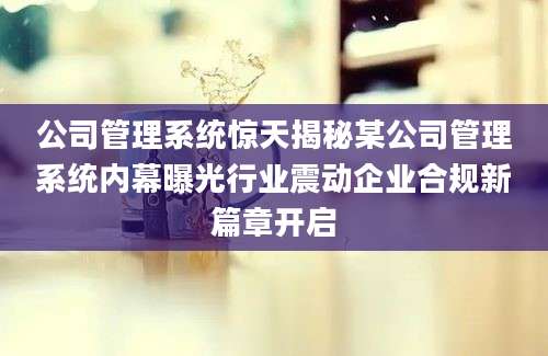 公司管理系统惊天揭秘某公司管理系统内幕曝光行业震动企业合规新篇章开启