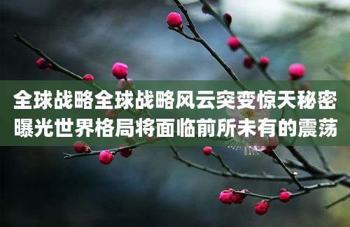 全球战略全球战略风云突变惊天秘密曝光世界格局将面临前所未有的震荡