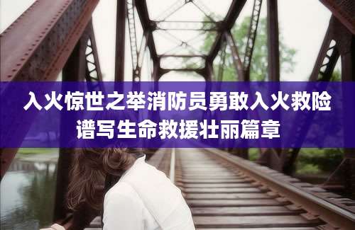 入火惊世之举消防员勇敢入火救险谱写生命救援壮丽篇章