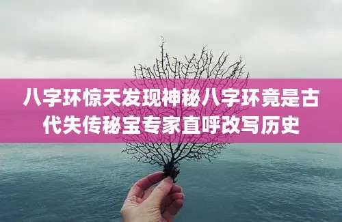 八字环惊天发现神秘八字环竟是古代失传秘宝专家直呼改写历史