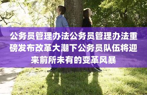 公务员管理办法公务员管理办法重磅发布改革大潮下公务员队伍将迎来前所未有的变革风暴