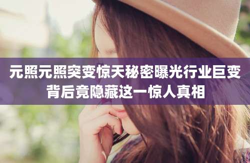 元照元照突变惊天秘密曝光行业巨变背后竟隐藏这一惊人真相