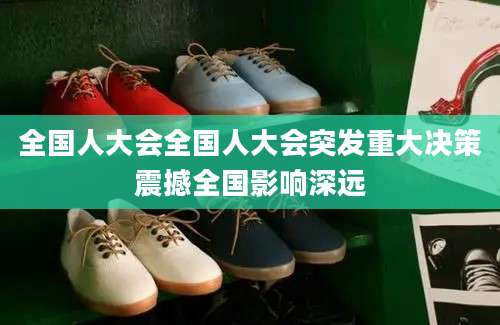 全国人大会全国人大会突发重大决策震撼全国影响深远