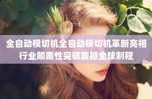 全自动模切机全自动模切机革新亮相行业颠覆性突破震撼全球制程