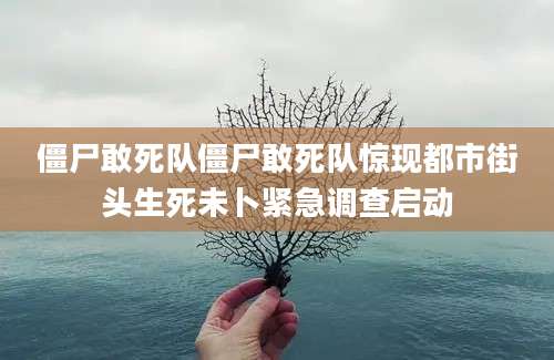 僵尸敢死队僵尸敢死队惊现都市街头生死未卜紧急调查启动