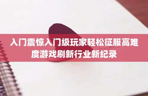入门震惊入门级玩家轻松征服高难度游戏刷新行业新纪录