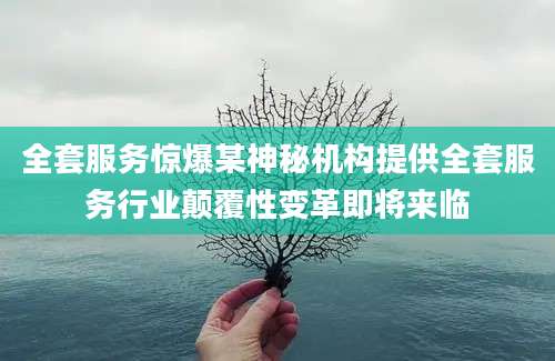 全套服务惊爆某神秘机构提供全套服务行业颠覆性变革即将来临