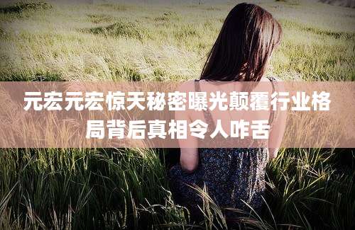 元宏元宏惊天秘密曝光颠覆行业格局背后真相令人咋舌