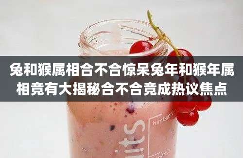 兔和猴属相合不合惊呆兔年和猴年属相竟有大揭秘合不合竟成热议焦点
