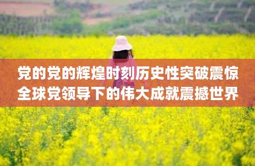 党的党的辉煌时刻历史性突破震惊全球党领导下的伟大成就震撼世界