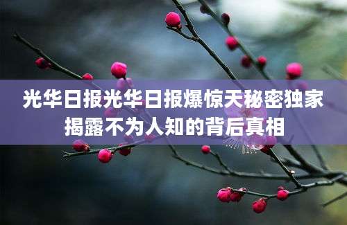 光华日报光华日报爆惊天秘密独家揭露不为人知的背后真相