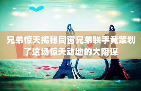 兄弟惊天揭秘同窗兄弟联手竟策划了这场惊天动地的大阴谋