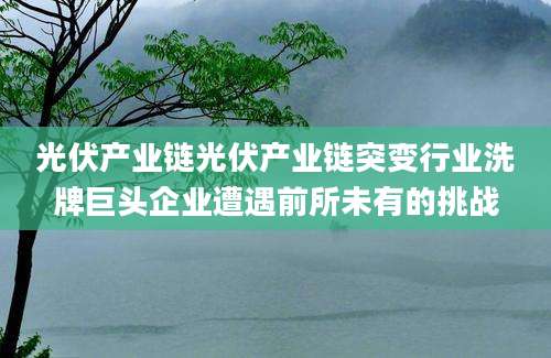 光伏产业链光伏产业链突变行业洗牌巨头企业遭遇前所未有的挑战