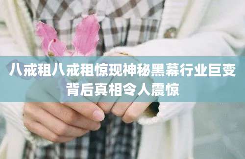 八戒租八戒租惊现神秘黑幕行业巨变背后真相令人震惊