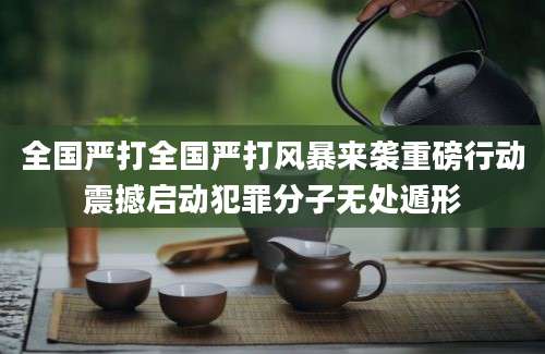 全国严打全国严打风暴来袭重磅行动震撼启动犯罪分子无处遁形