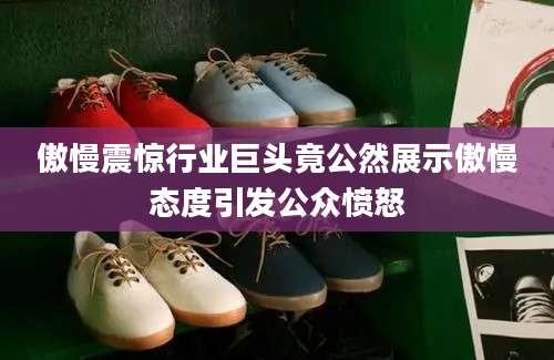 傲慢震惊行业巨头竟公然展示傲慢态度引发公众愤怒