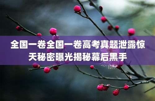 全国一卷全国一卷高考真题泄露惊天秘密曝光揭秘幕后黑手