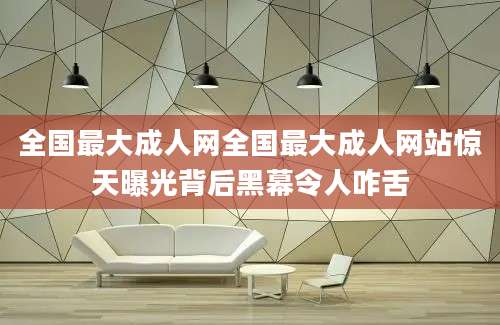 全国最大成人网全国最大成人网站惊天曝光背后黑幕令人咋舌