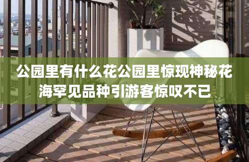 公园里有什么花公园里惊现神秘花海罕见品种引游客惊叹不已