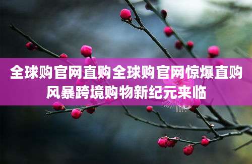 全球购官网直购全球购官网惊爆直购风暴跨境购物新纪元来临