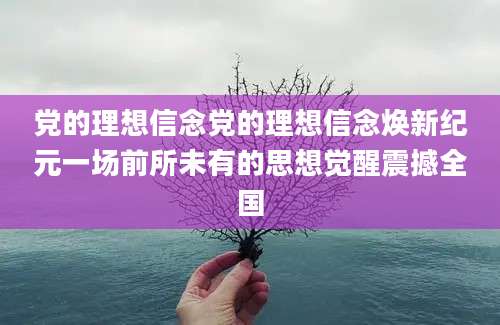 党的理想信念党的理想信念焕新纪元一场前所未有的思想觉醒震撼全国