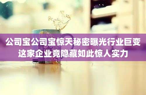 公司宝公司宝惊天秘密曝光行业巨变这家企业竟隐藏如此惊人实力