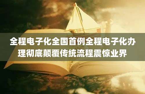 全程电子化全国首例全程电子化办理彻底颠覆传统流程震惊业界